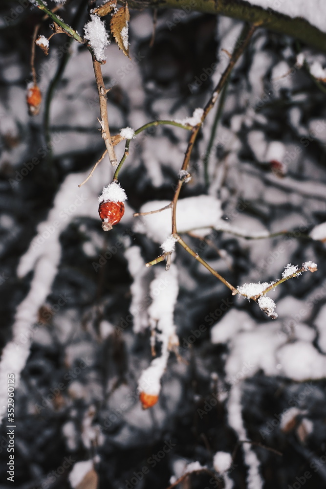 Processed with VSCO with hb2 preset Processed with VSCO with hb2 preset