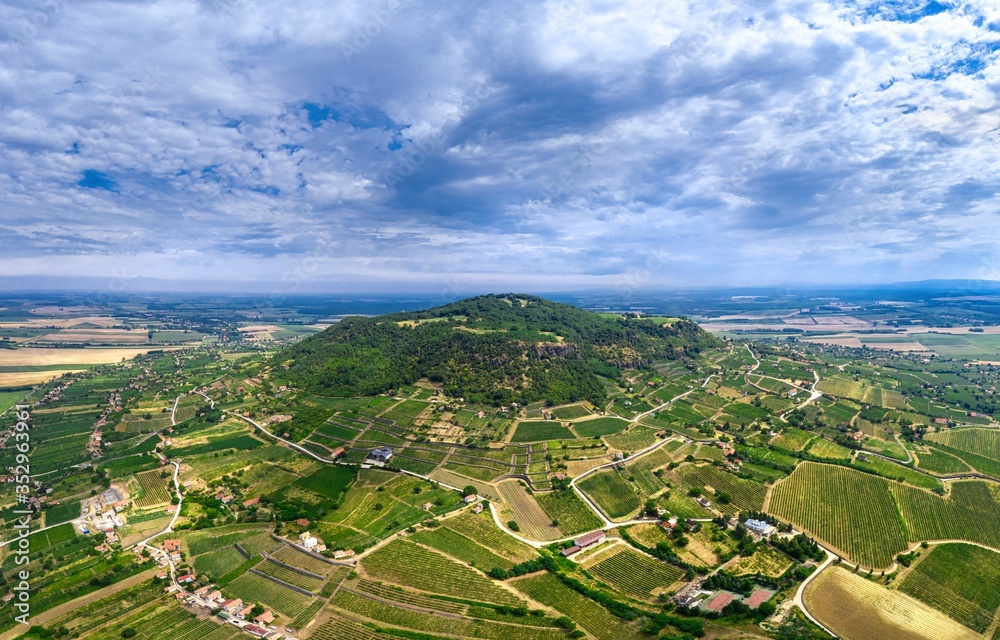Somlo Hungary vineyard in wine region
