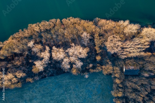 Trees and riverbank from above