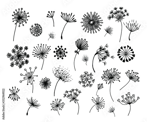 Hand-drawn doodle set of dandelions, can be used for cards and stickers.Set of abstract graphic doodle dandelions. Decorative Elements for design, dandelions.