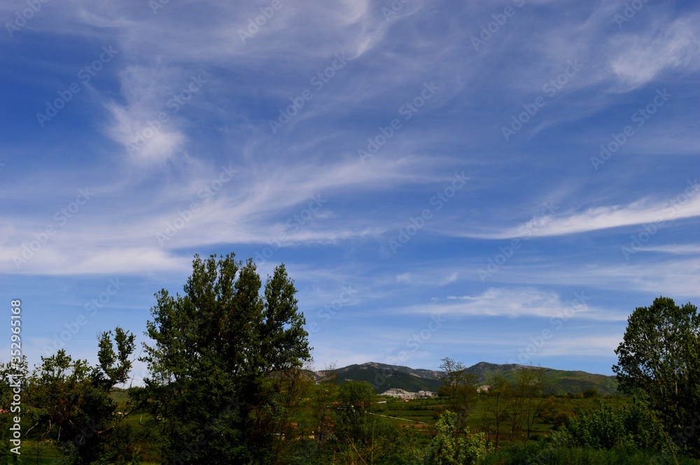 landscape of clouds in spring