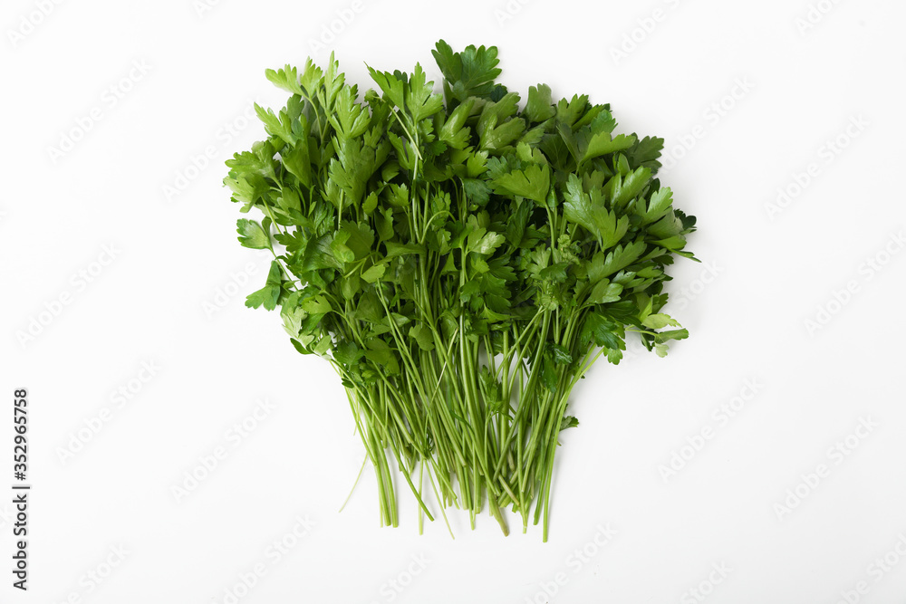 parsley isolated on white background parsley isolated on white background