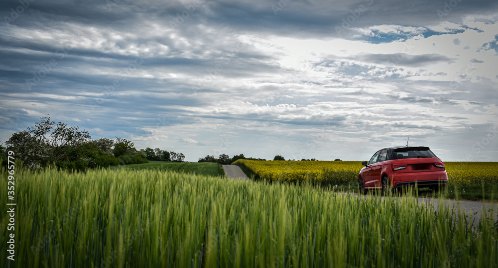 further look over flowering fields with car at the roadside further look over flowering fields with car at the roadside
