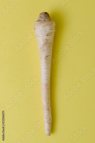Parsnip isolated on yellow background