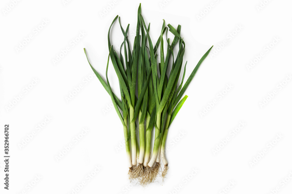 fresh green garlic - close up