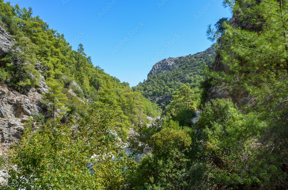 Rocks and trees of the canyon Goynuk. Trekking in the Taurus Mountains, Lycian way Turkey.