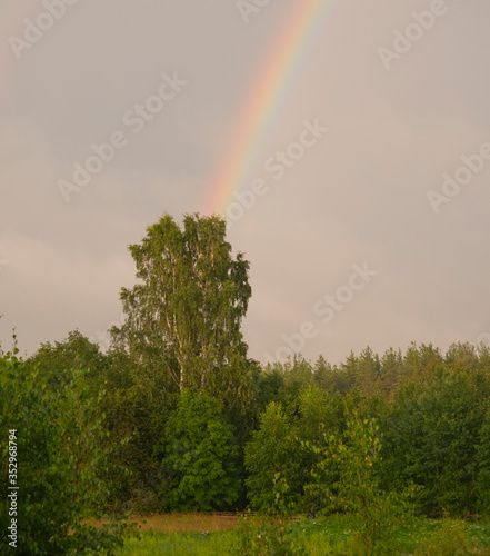 A part of a rainbow after the rain over the green trees and forest in a country side © JoAn_Z