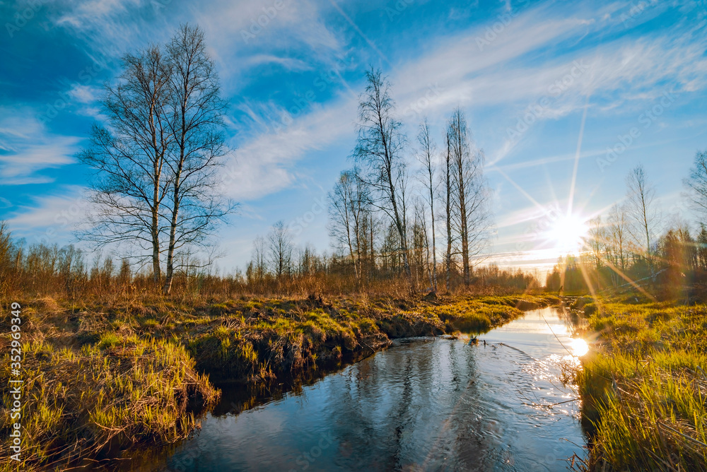 Fototapeta premium River in the forest in spring. Lepsari river, Leningrad region.