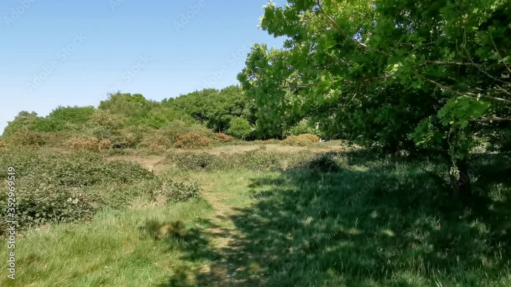 walking down in the country park on a trail in england walking down in the country park on a trail in england