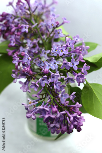 lilac flowers 