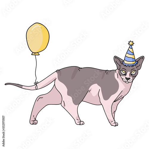 Cute cartoon sphynx cat with party hat vector clipart. Pedigree exotic breed for cat lovers. Purebred celebration kitten for pet parlor illustration mascot. Isolated hairless feline housecat. EPS 10