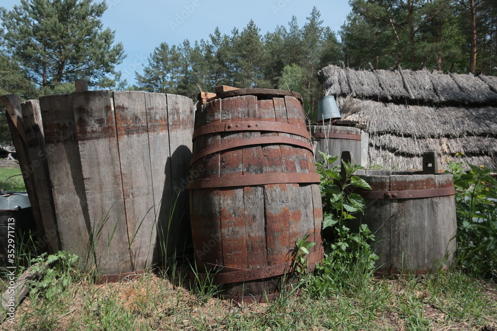 Old wooden barrels standing in the grass Old wooden barrels standing in the grass