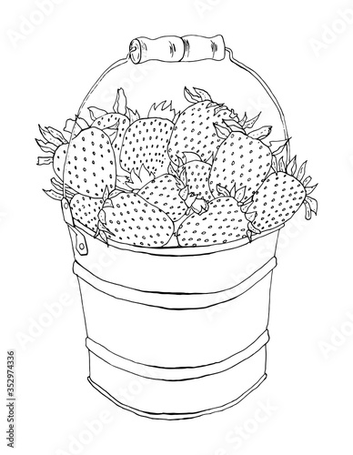Vector doodle illustration of a strawberry in a bucket isolated on a white background. A sketch is suitable as a children's coloring. The drawing is hand-drawn using ink in a graphic style.