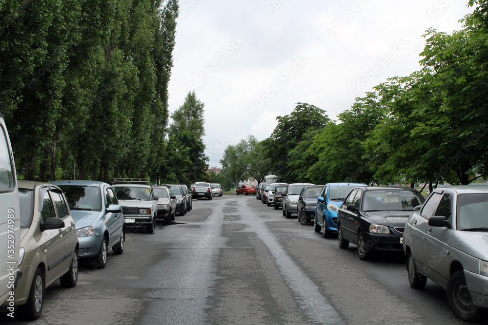 Rows of cars parked along the alley under the summer rainy sky.
