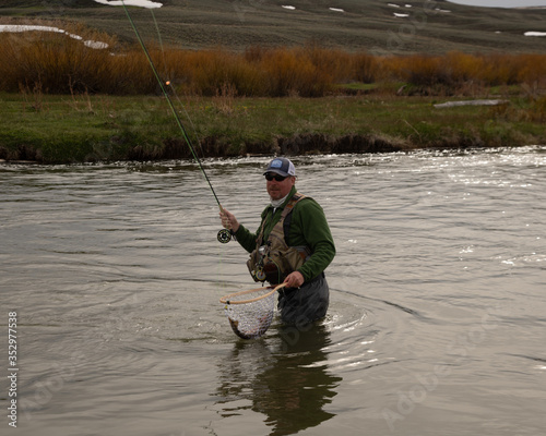 A man fly fishing on a wild trout stream in Wyoming.