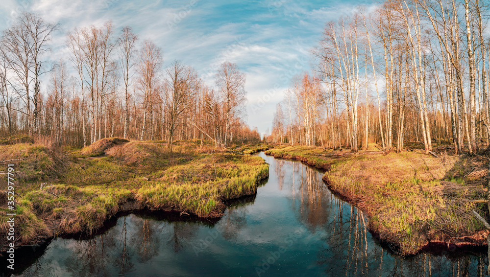 River in the forest in spring. Lepsari river, Leningrad region.