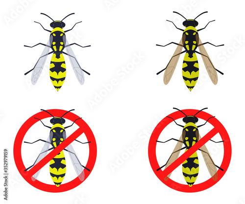 Vector illustration: wasp. Crossed wasp.