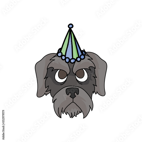 Cute cartoon schnauzer puppy face with party hat vector clipart. Pedigree kennel doggie breed. Purebred domestic puppy terrier for celebration illustration mascot. Isolated canine.
