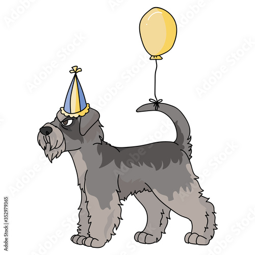 Cute cartoon schnauzer dog with party hat vector clipart. Pedigree kennel doggie breed. Purebred domestic puppy terrier for celebration illustration mascot. Isolated canine English hunting breed. 