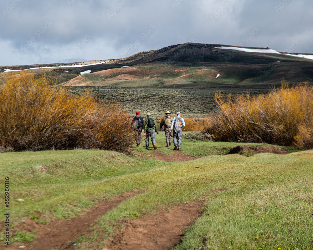 Four men walking through a cattle ranch to go fly fishing. Four men walking through a cattle ranch to go fly fishing.