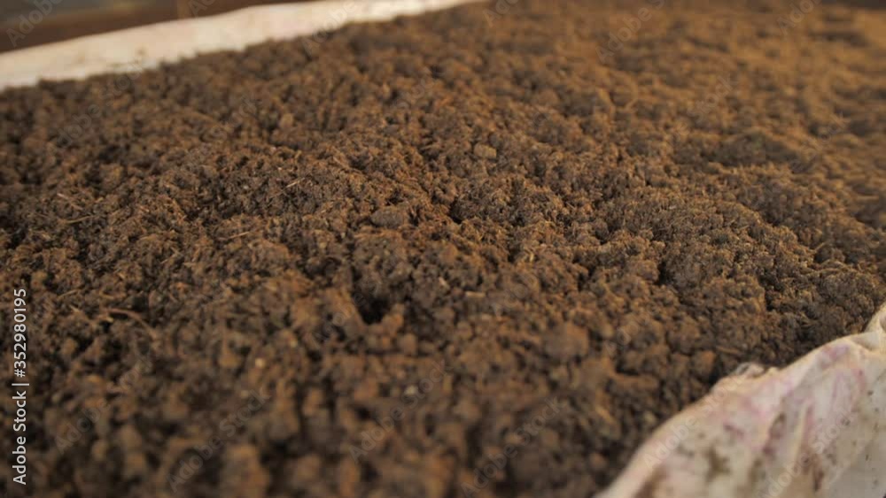A pile of dried tea leaves scattered on the table of the tea factory. A pile of dried tea leaves scattered on the table of the tea factory.