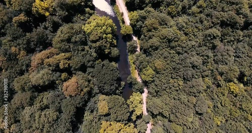 Flying over a field of lavenders, Wanstead Park, Epping Forest, City of London photo