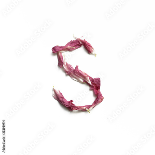 Alphabet made of peony petals. Letter s, layout for design.