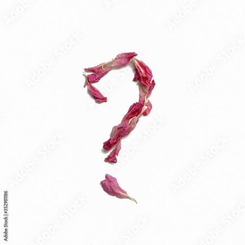 Question mark made of peony petals, layout for design.