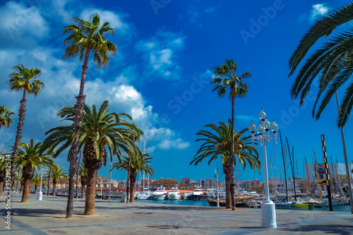 palm trees and blue sky in Barcelona marina