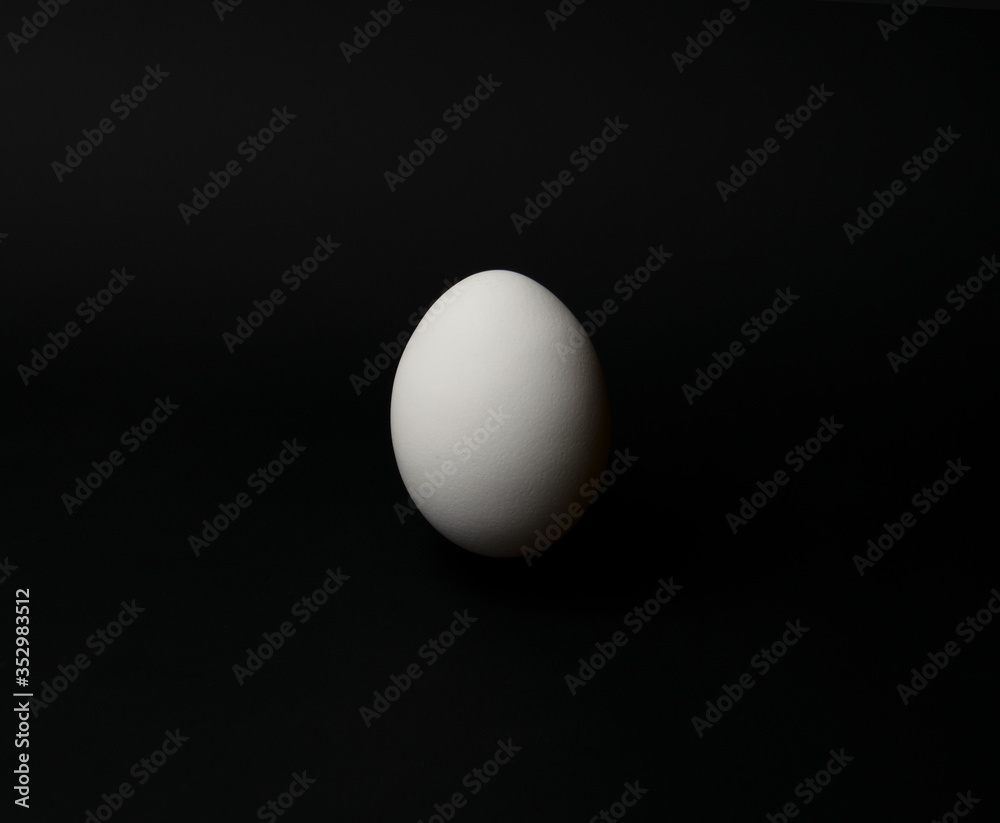 chicken egg on a black background with a space for text chicken egg on a black background with a space for text