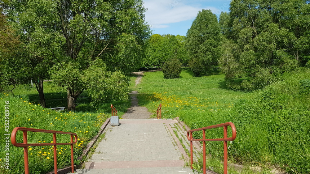 The path to the park. Sunny weather in spring. Beautiful nature