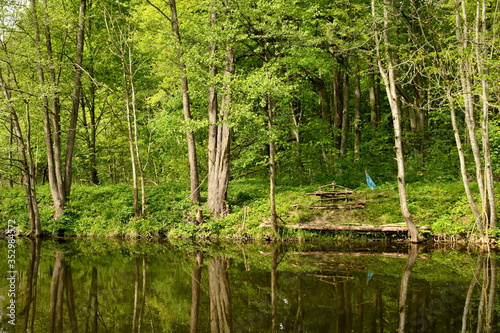 View of a meadow or field full of crops located on a hill situated next to a dense forest or moor seen on a cloudy spring day on a Polish countryside during a hike