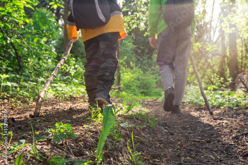 Two children hiking with backpacks and canes walk along forest path on sunny spring day. View from rear to feet and boots of backpackers. Exploration route through wild woods. Family adventure, trial
