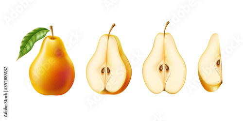 Vector realistic yellow ripe pear healthy food