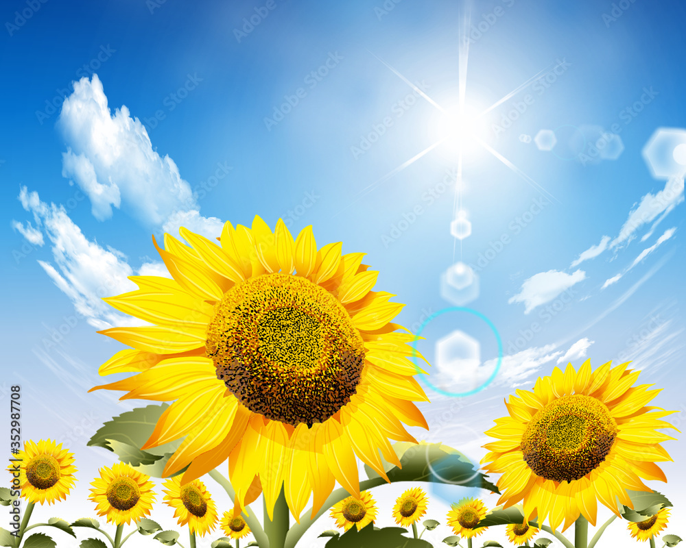 ひまわり 下からまぶしい太陽を見上げる Stock イラスト Adobe Stock ひまわり 下からまぶしい太陽を見上げる Stock イラスト Adobe Stock