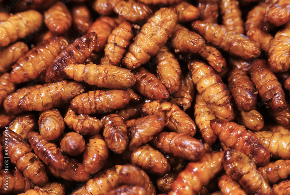 fried larvae, thai fast food