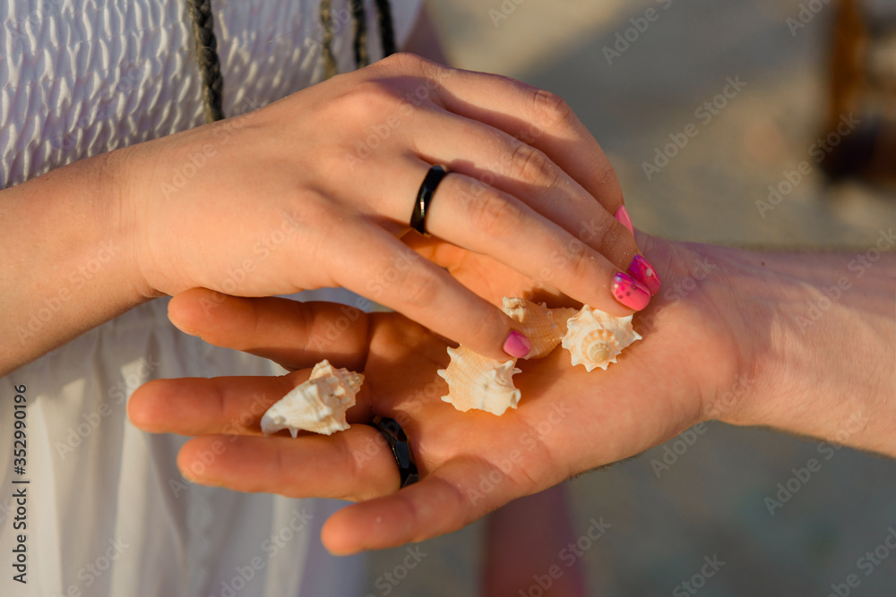 Hands of a man and a woman with the shells of a hermit crab.
