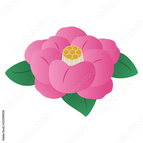 椿の花