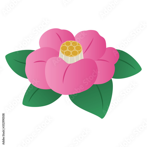椿の花