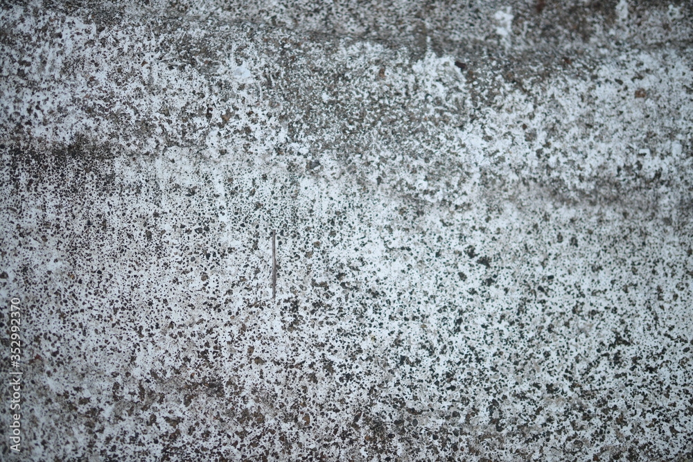 Obraz premium White old cement wall concrete backgrounds textured. Abstract vintage texture. Background from cracks, breaks, stains. Grunge cracks, damage