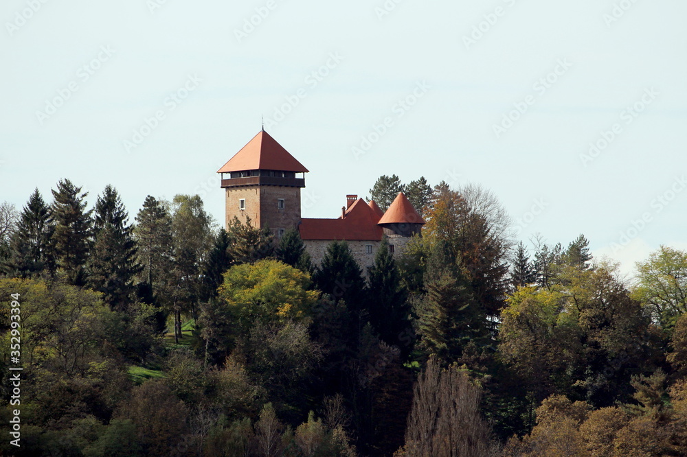 Tall dense forest trees hiding and protecting old medieval town castle with newly renovated roof on top of small hill on clear blue sky background Tall dense forest trees hiding and protecting old medieval town castle with newly renovated roof on top of small hill on clear blue sky background