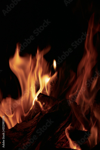 A tree burning with a bright flame on a dark background
