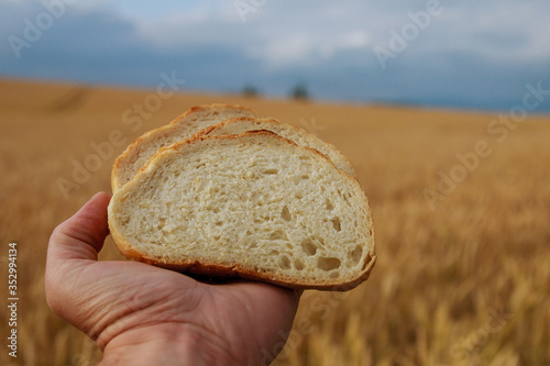 Man holding bread on a background of wheat field and sky