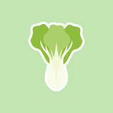 bok choi, also pak-choi cabbage vector illustration in cartoon flat style isolated on color background. Chinese kale