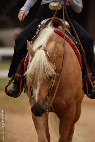Summer western horse show