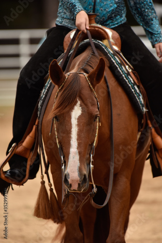 Summer western horse show
