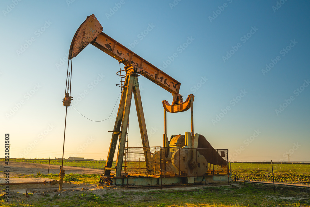 Oil pump and agricultural field at sunset. Oil industry equipment in a rape chain