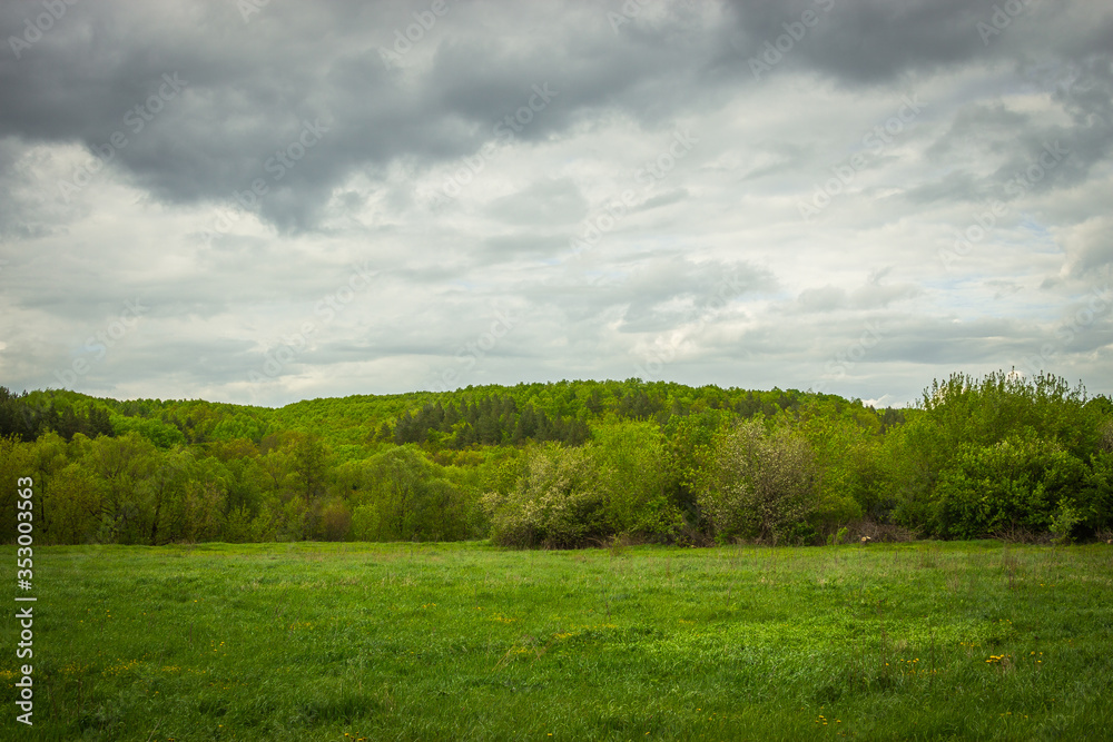 summer landscape in rural areas of the Russian Federation