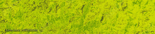 abstract lime and green colors background for design