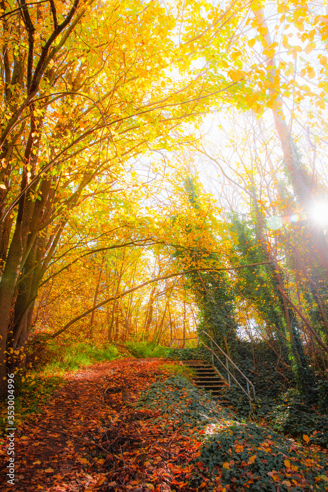 Colourful Autumn Outdoor Nature Landscape Scene